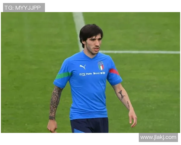 意大利足球明星现状分析及未来发展趋势探讨