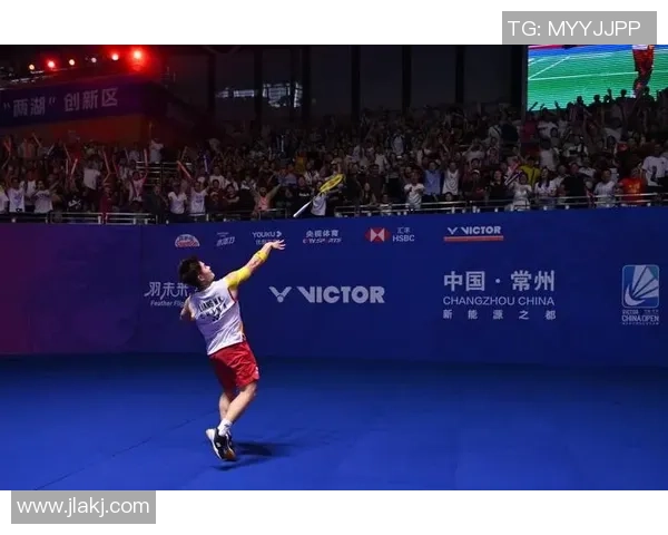 武汉羽毛球队进攻策略深度解析与技术创新探讨