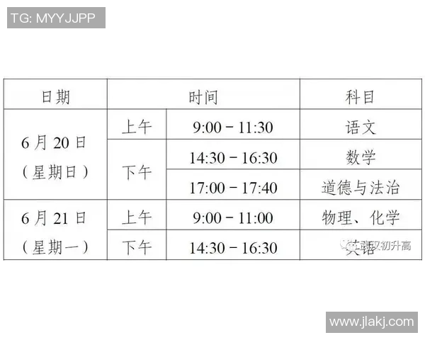 武汉排球队在洲际杯中的状态分析与表现评估