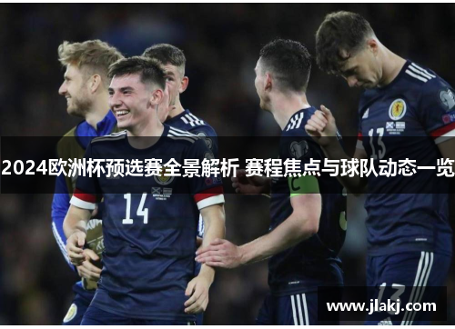 2024欧洲杯预选赛全景解析 赛程焦点与球队动态一览